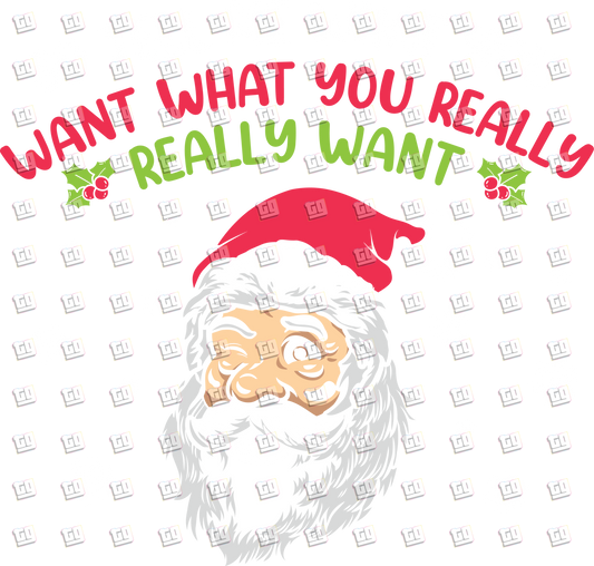 Want What You Really Really Want Santa - Holidays - DTF Transfer