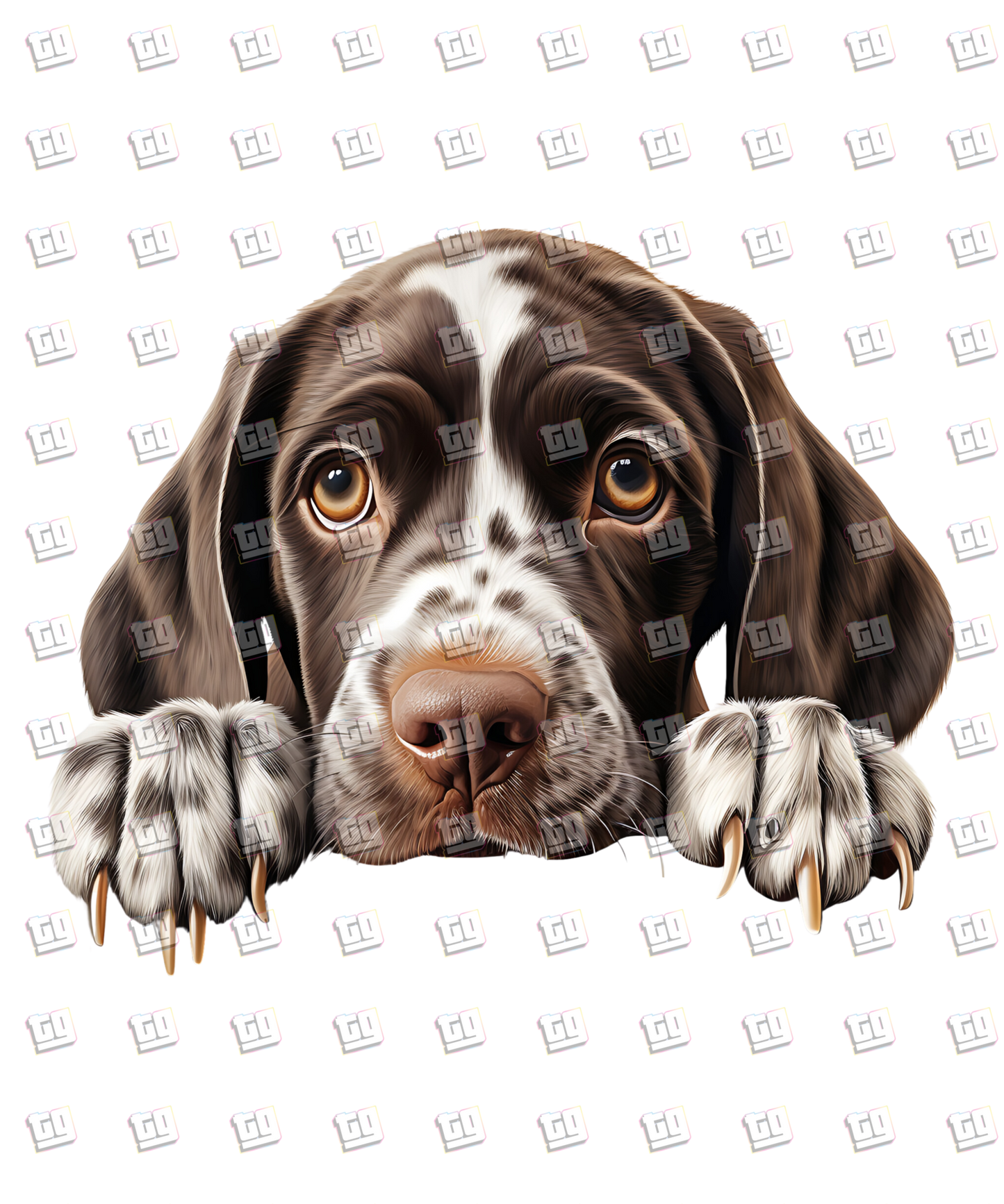 German Shorthaired Pointer Dog Peeking - Dog - DTF Transfer